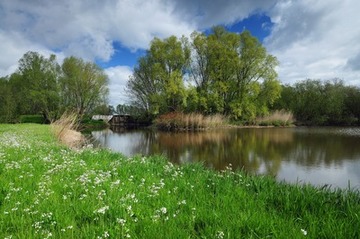 Auengewässer im Naturschutzgebiet "Juliusplate"