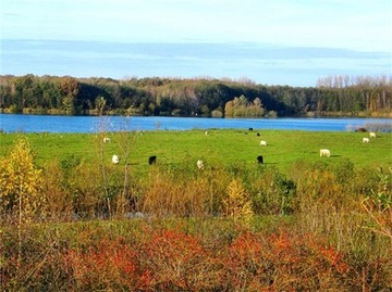 Das Reservebecken im Hochwasserrückhaltebecken Alfhausen-Rieste