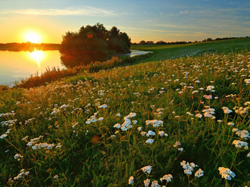 Sommerabend am Hauptbecken des NSG "Hochwasserrückhaltebecken Alfhausen-Rieste"