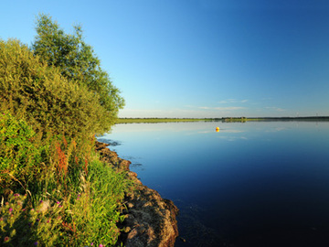 Das Hauptbecken des NSG "Hochwasserrückhaltebecken Alfhausen-Rieste"