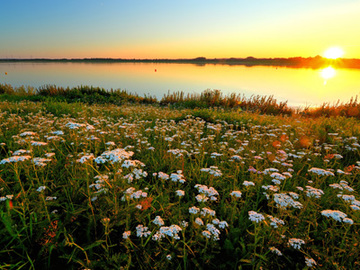 Sommerabend am Hauptbecken des NSG "Hochwasserrückhaltebecken Alfhausen-Rieste"