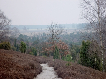 Ellerndorfer Wacholderheide (Foto: Petra Mros)