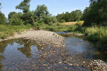 Schotterbank