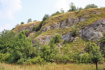 Blaugrasrasen am Kanstein