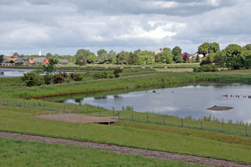 Brücke