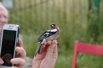 Erinnerungsfoto vor der Entlassung in die Freiheit