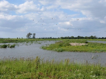 V64 Kleipütte im Augustgroden