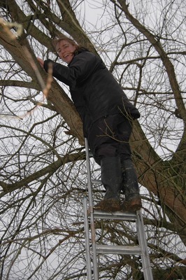 Fledermaussuche in luftiger Höhe