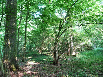 Naturschutzgebiet "Hägerdorn"