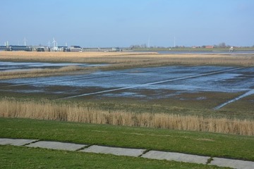 Nendorper Deichvorland, noch immer steht Wasser in den Flächen.