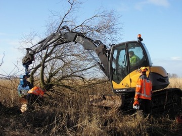 Vorbereitende Arbeiten zum Abtransport des gefällten Baumes mit Minibagger und Holzverladezange