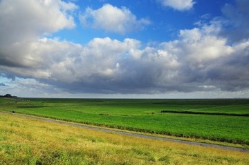 Deichvorland bei Belum