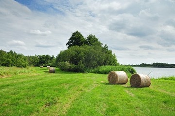 Gemähtes Grünland am Balksee