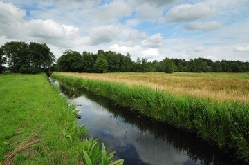 Das Gewässer "Bröckelbeck" im NSG "Balksee und Randmoore"