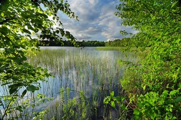 Blick über den Silbersee