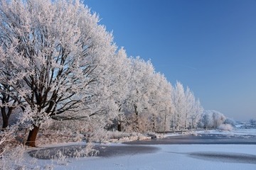 Überstautes Grünland im Winter im NSG "Fischerhuder Wümmerniederung"