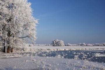 Überstautes Grünland im Winter im NSG "Fischerhuder Wümmerniederung"