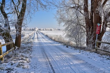 Weg durch die winterliche Wümmeniederung