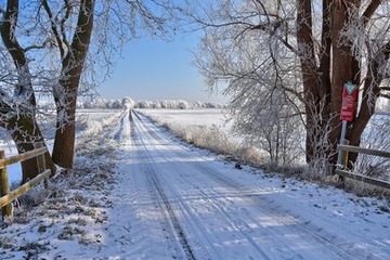 Weg durch die winterliche Wümmeniederung