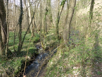 Naturschutzgebiet "Rinderweide"