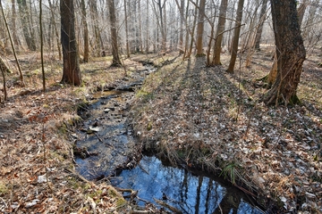 Naturschutzgebiet "Rinderweide"