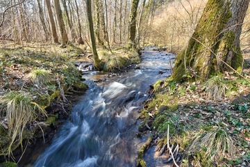 Naturschutzgebiet "Rinderweide"