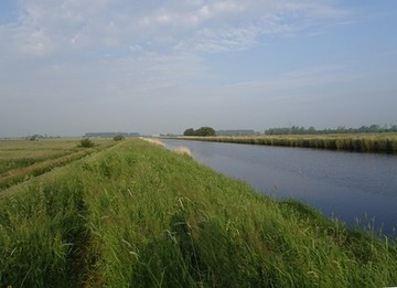 Foto 1: Mündungsbereich des Sauteler Kanals bei Neermoor, am Horizont das Sauteler Siel. Während das Nordufer (im Bild rechts) noch einen breiten Röhrichtgürtel aufweist, ist das Südufer (links) nur noch sehr lückig mit Schilf bewachsen.