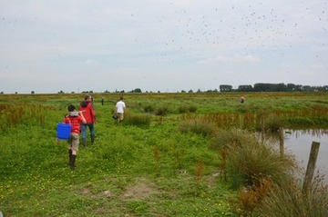 Foto 3: ausgerüstet mit Eimern zur Zwischenhälterung der Küken bewegt sich die Gruppe auf der Insel Richtung Lachmöwen-Kolonie