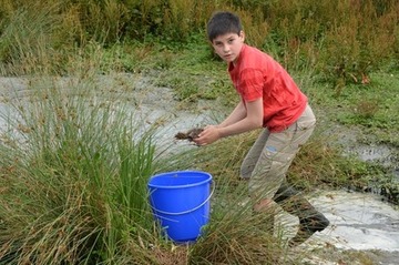 Foto 6: Doch vereinzelt werden auch noch kleinere Küken angetroffen, hier ist Sönke Meyer fündig geworden.