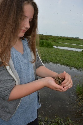 Foto 8: Anna Kroll mit noch kleinem Lachmöwen-Küken