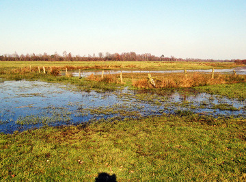 Weiher am Syen-Venn