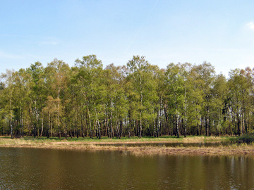 Kleingewässer Achterberg (Foto: LK Grafschaft Bentheim)