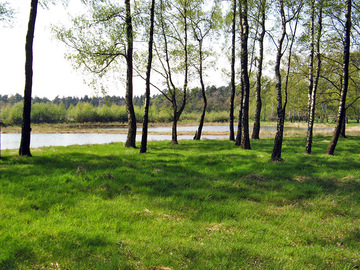 Kleingewässer Achterberg (Foto: LK Grafschaft Bentheim)