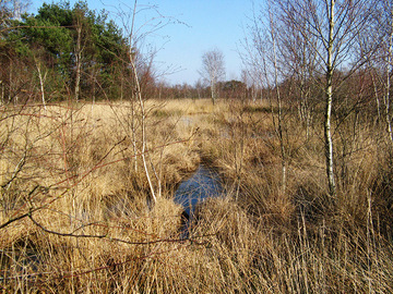 Syen-Venn (Foto: LK Grafschaft Bentheim)