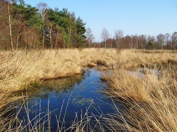 Syen-Venn (Foto: LK Grafschaft Bentheim)