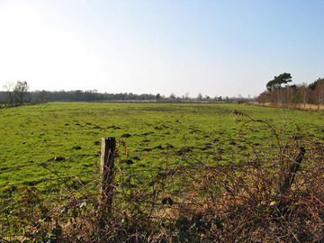 Syen-Venn (Foto: LK Grafschaft Bentheim)