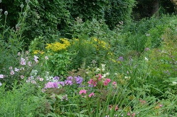 Foto 12: Wildstaudenbeet in Pagels Garten mit vielen verschiedenen Blütenhorizonten…
