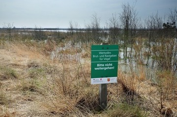 Wiedervernässungsfläche im Goldenstedter Moor