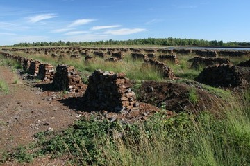 Zum Trocknen aufgestellte Torfsodenstapel im Goldenstedter Moor