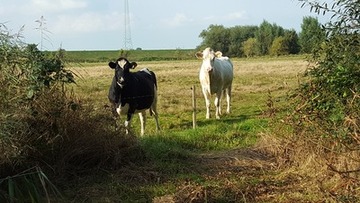 Zaungäste beobachten die Bohrarbeiten