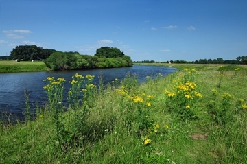 Ems bei Meppen