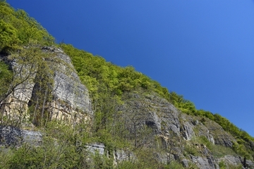 Mühlenberg bei Pegestorf