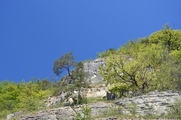 Mühlenberg bei Pegestorf