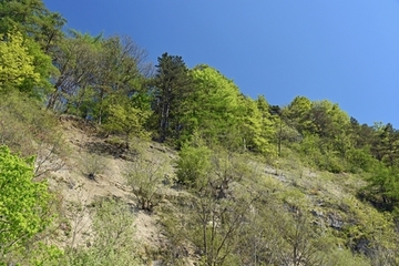 Mühlenberg bei Pegestorf