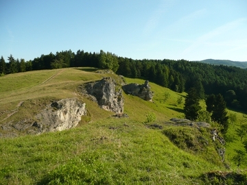 Kuppe und Felsformationen des Steinbergs mit Blick in den Harz