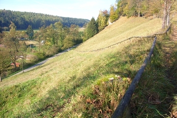 Kalktrockenrasen am Westhang des Steinbergs