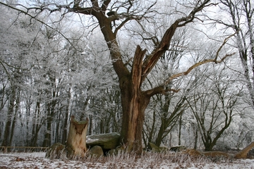 Naturdenkmal Opfertisch