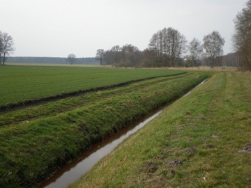 Oberster Teil der Ohreaue (reines Entwicklungsgebiet) auf niedersächsischer Seite