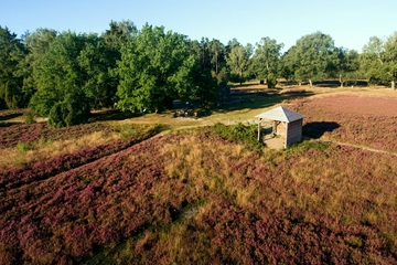 Wietzer Berg bei Müden (Örtze)