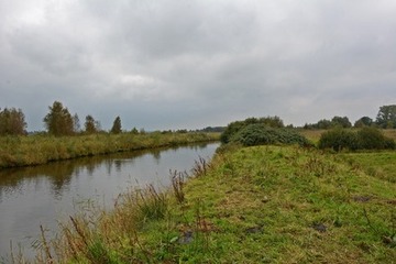 Ein bereits bestehender Wall trennt das Projektgebiet vom Marscher Tief, welches von den Flächenvernässungen nicht beeinflusst wird.